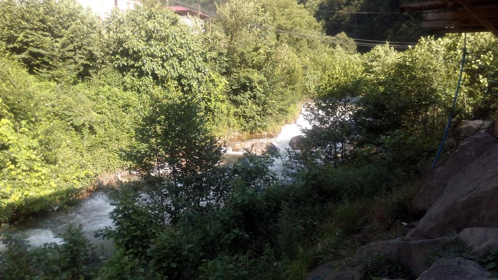Aydinli Pansiyon Caykara Extérieur photo